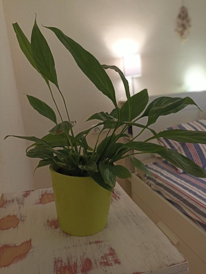 Confortable Habitacion Centrica En Piso Privado Apartment Малага Екстериор снимка